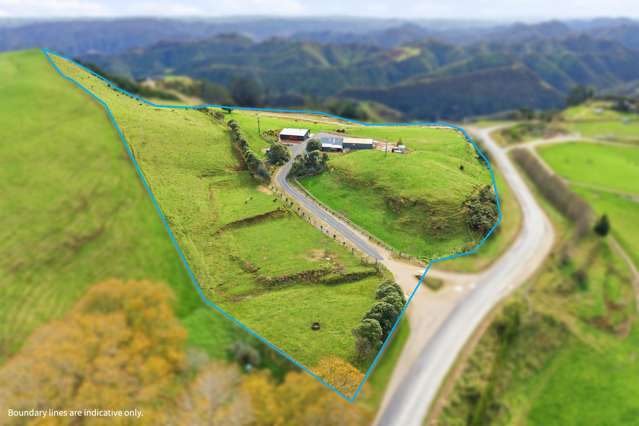 535 Rangitatau West Road Maxwell_3