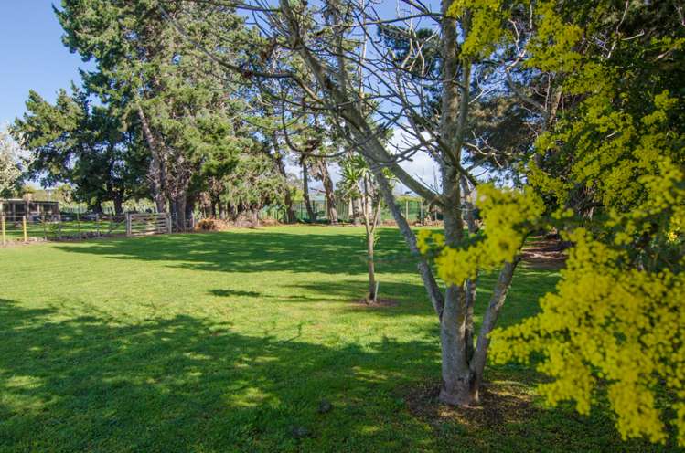 8 Grey Street Martinborough_14