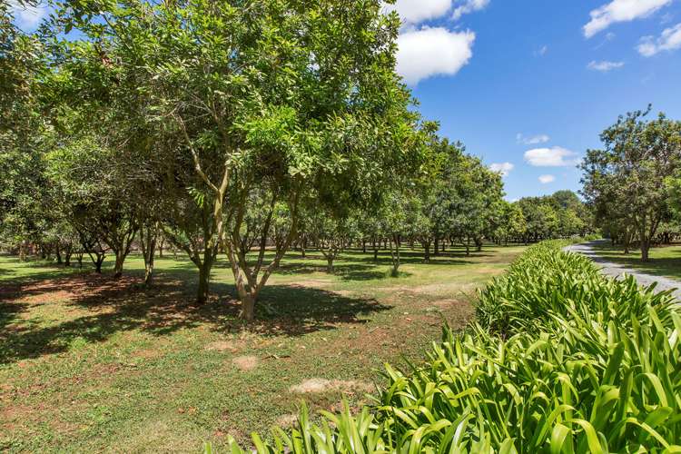 260 Ngunguru Road Glenbervie_22