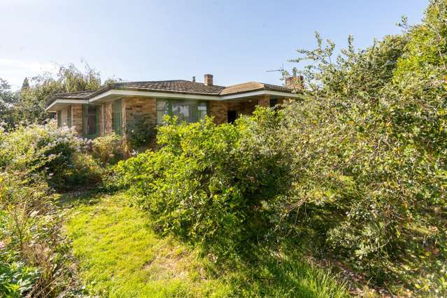 56 Peachgrove Road Hamilton East_2