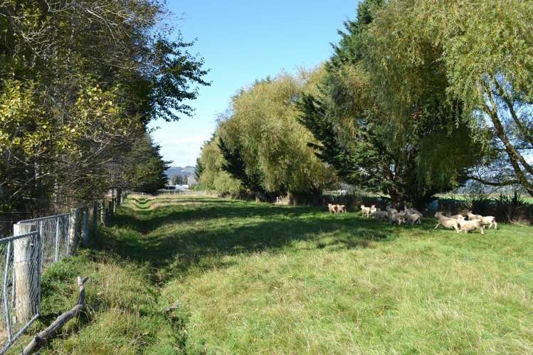 230 Bush Road Mosgiel_8