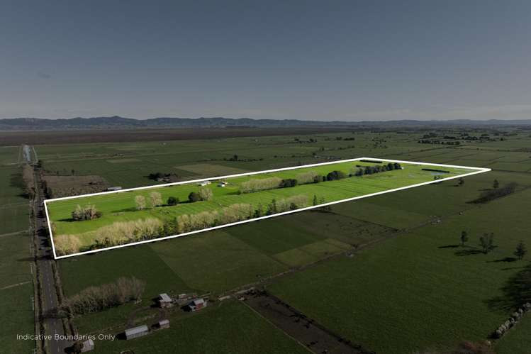 649 Wani Road Netherton_7