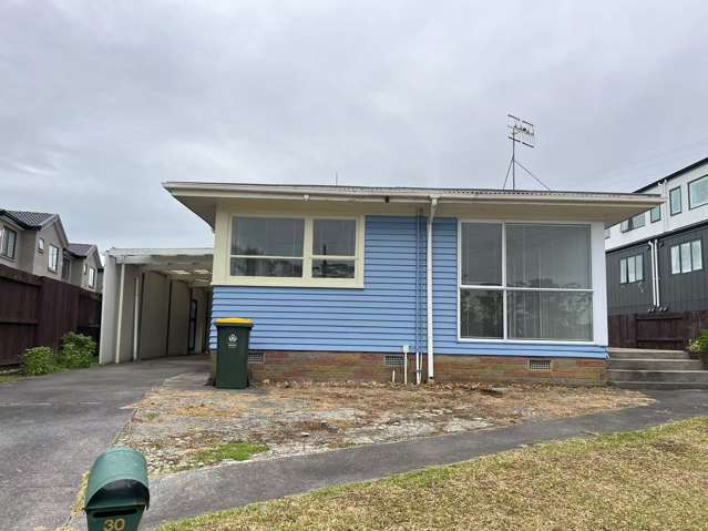30A Tiraumea Drive Pakuranga_1