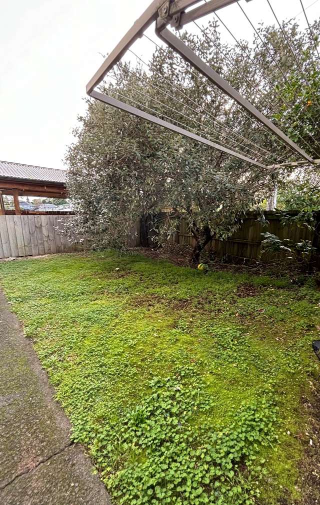 1A Martyn Street Waiuku Franklin Houses for Rent One Roof