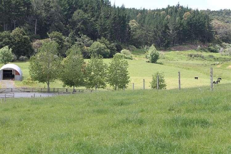 67 Rukuwai Road Parua Bay_9