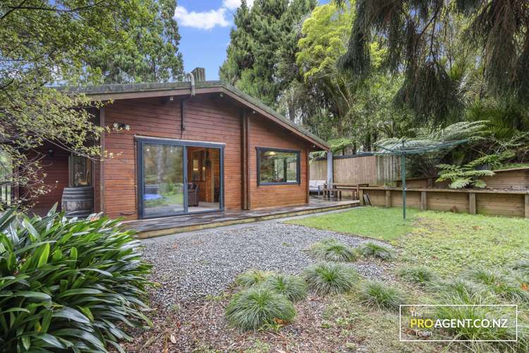 17 Minnehaha Avenue Titirangi_1