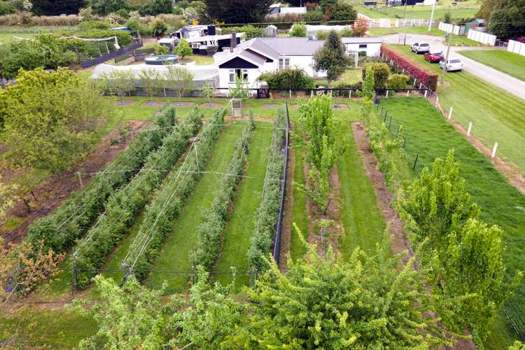 7 Opuha Saint East Orari_19