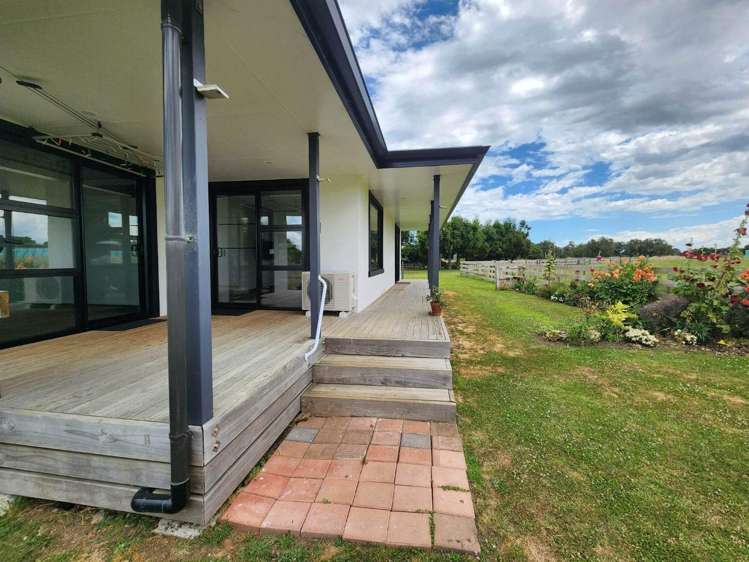  42 Watt Livingstone Road Westmere_12