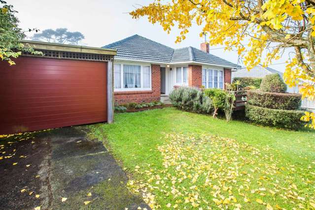 12 Tiki Street New Lynn_1