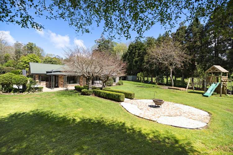 21 Thorn Road Lower Kaimai_6