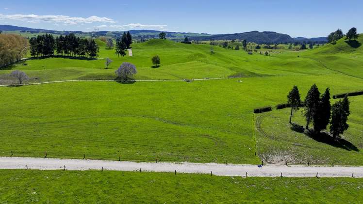 441 State Highway 38 Rerewhakaaitu_16