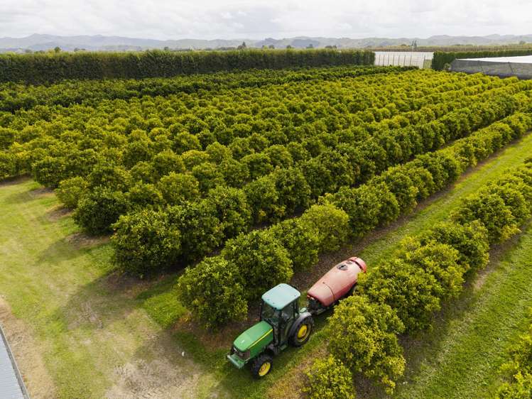 18 Jackson Road Waerengaahika_22