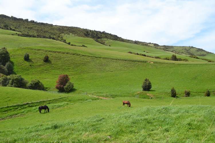 771 Hunt Road Catlins Surrounds_10