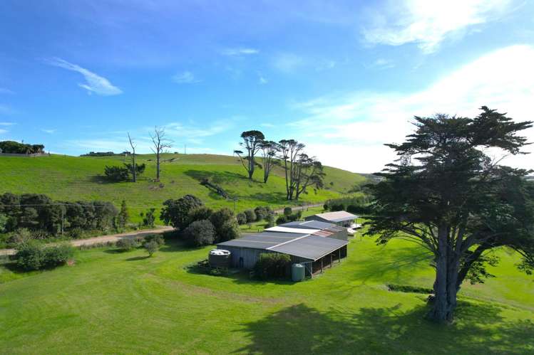 259 Redhill Cemetery Road Te Kopuru_18
