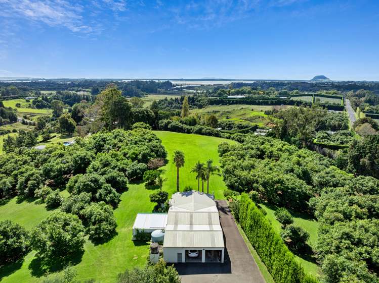 14c Crawford Road Wairoa_18