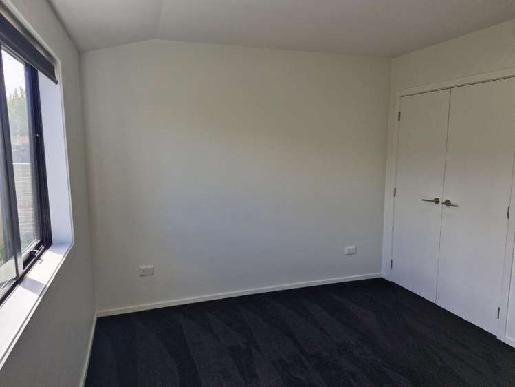 356 Carrington Street Vogeltown_7