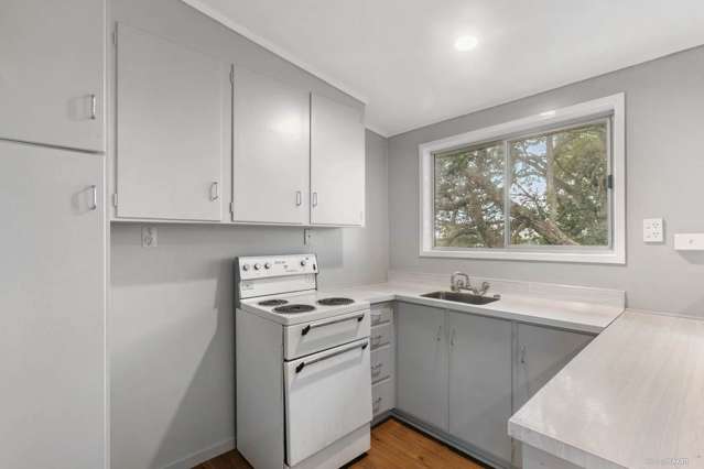 4/66 Astley Avenue New Lynn_2