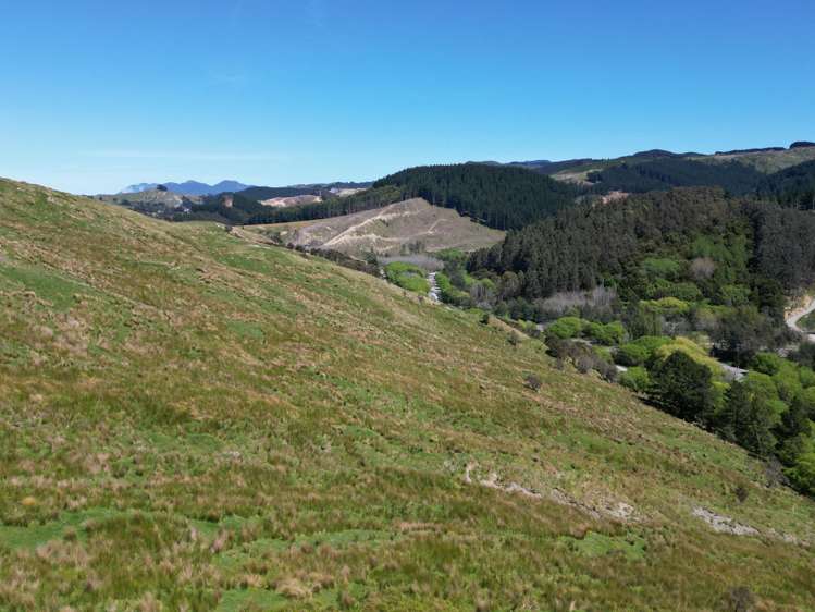 White Rock Road Martinborough_15