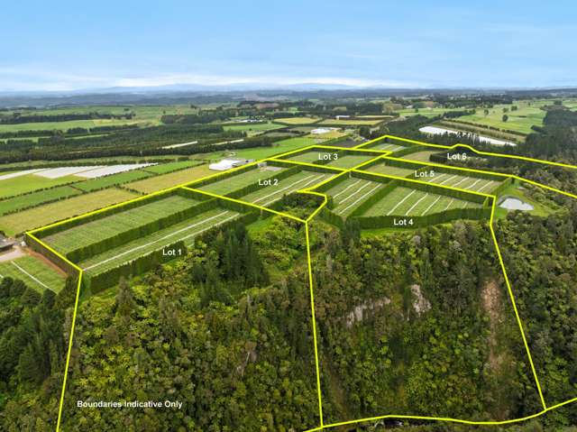 Lot 2/1010 Te Matai Road Te Ranga_1