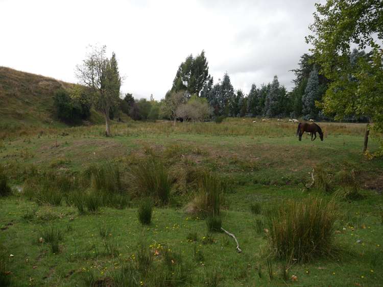 1390 Dunback-Morrisons Road Waynes_22