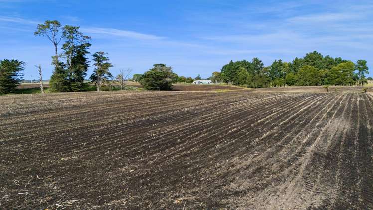 40 Rona Road Brixton_18