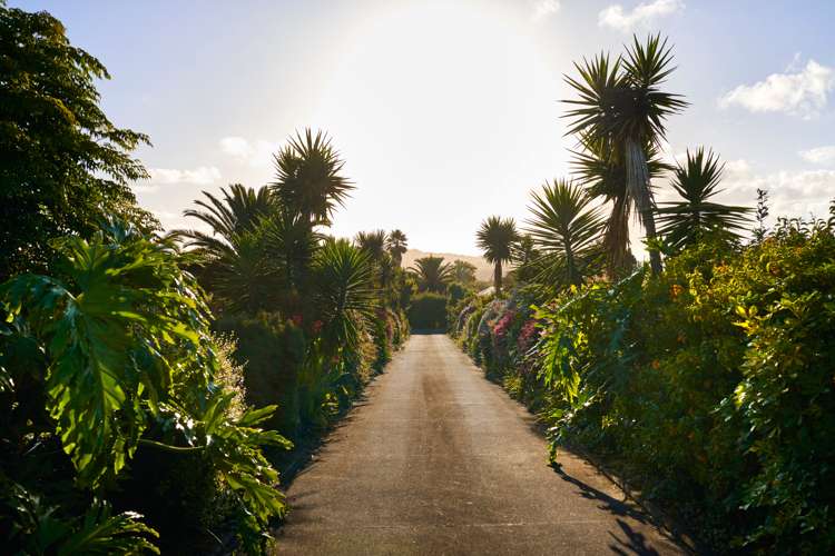 196a Logan Road Buckland_9