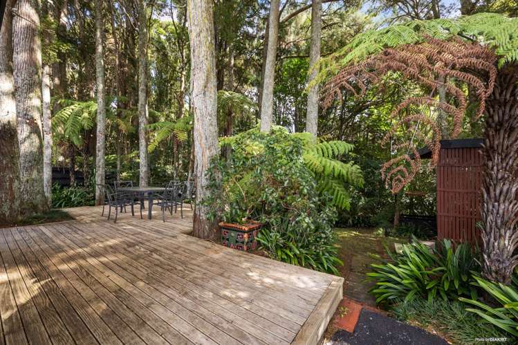 52 Collie Street Hill Park_19