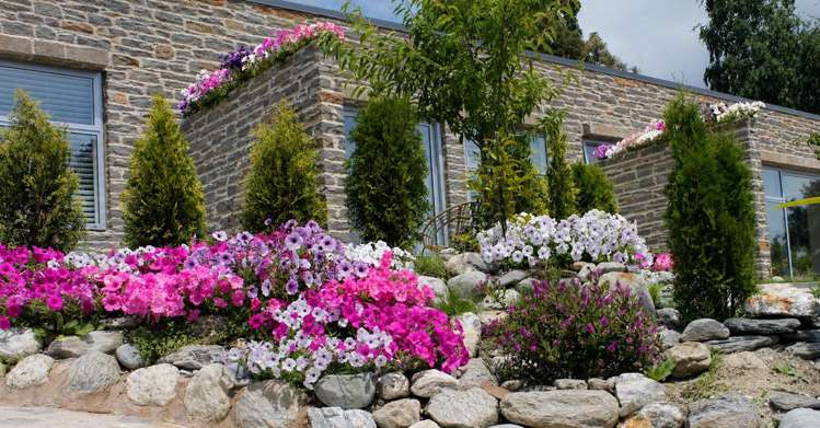 18 hidden hills Drive Wanaka_14