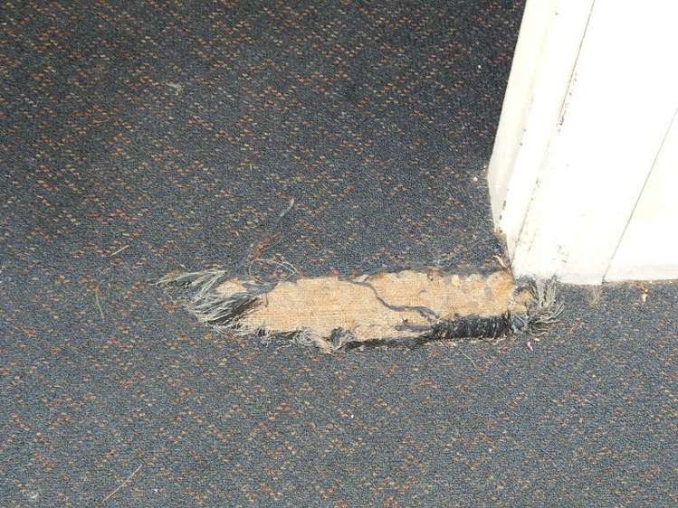 50 Neighbours Street Waimangaroa_19