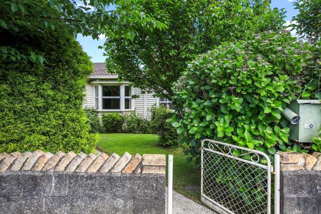 310 Park Road Te Awamutu_1