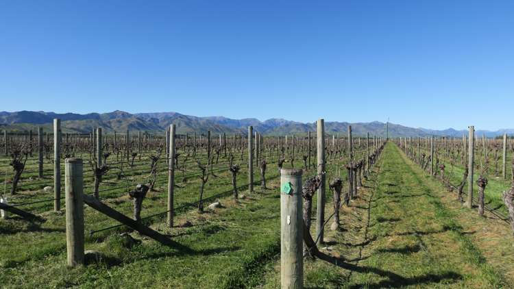 708 Waihopai Valley Road Waihopai Valley_22