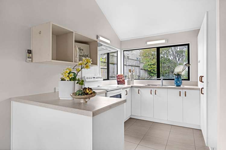 64B Frederick Street Hillsborough_7