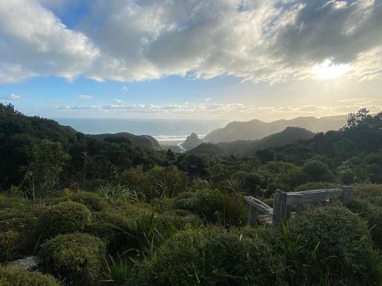 Kauri Cabin/128 Lone Kauri Road Karekare_16