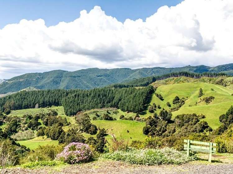 248 Garden Valley Road Brightwater_12