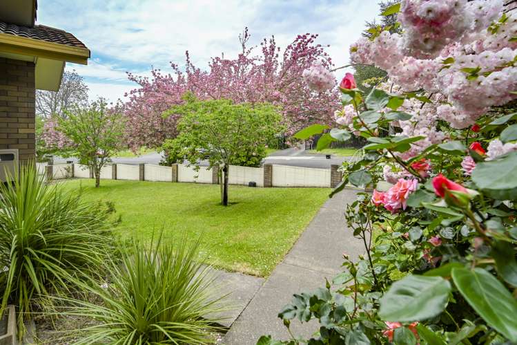 36 Kopanga Road Havelock North_22