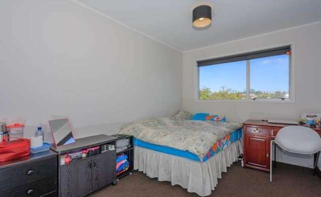 20 Ellis Avenue Mount Roskill_4