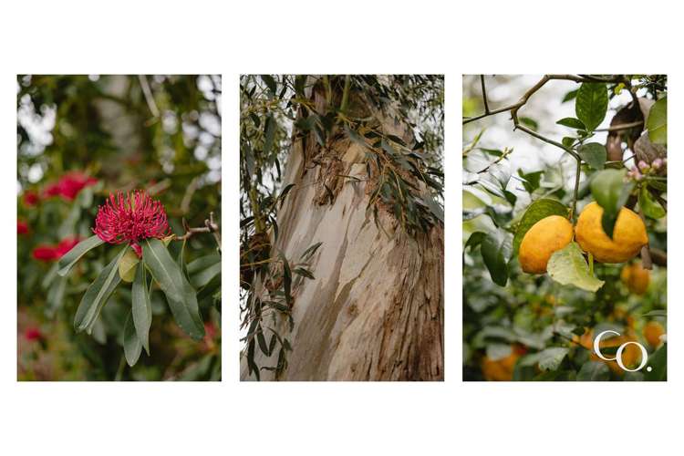 57 Walford Road Aongatete_29