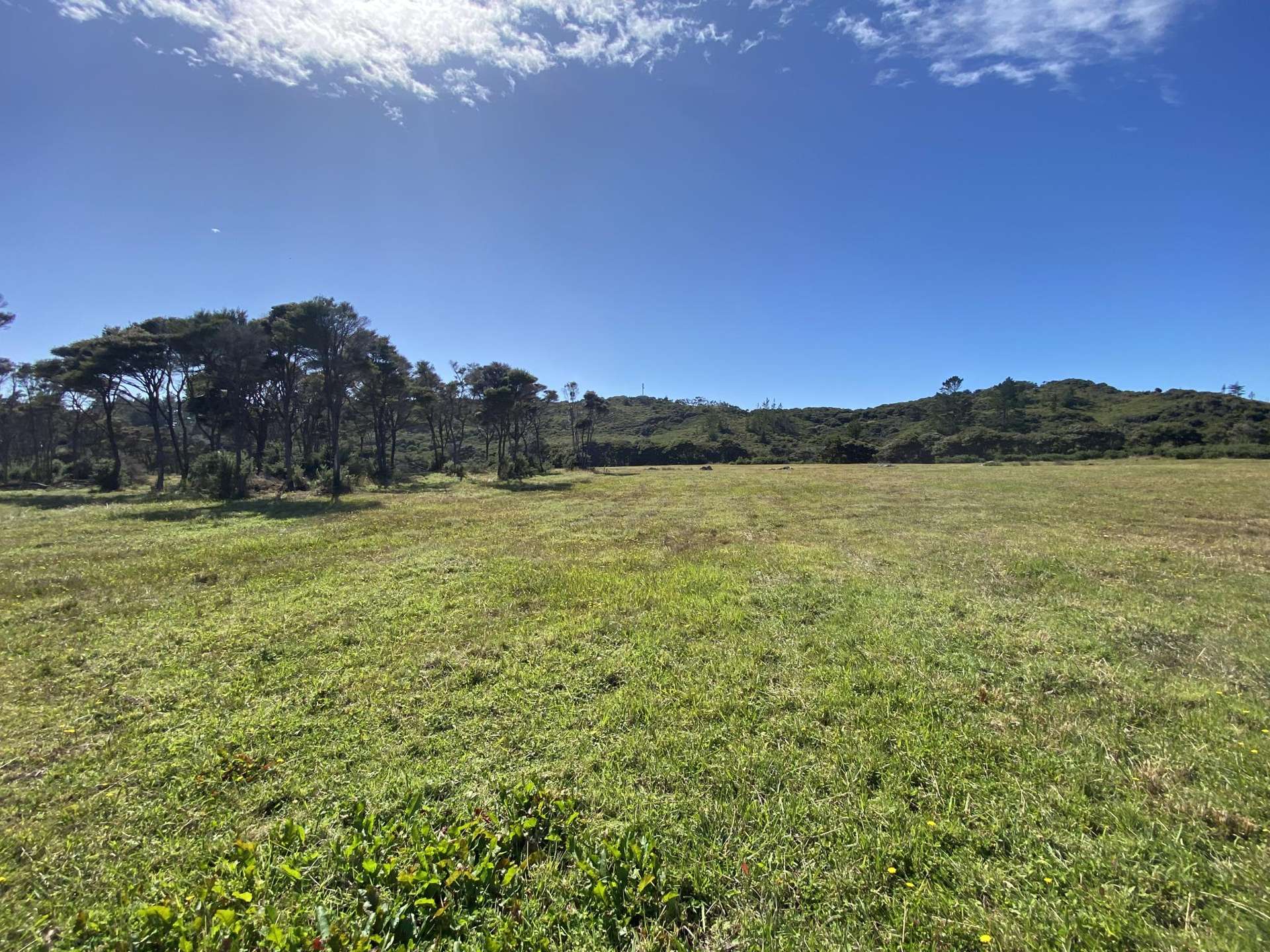 Lot 3/161 Wharariki Road Puponga_0