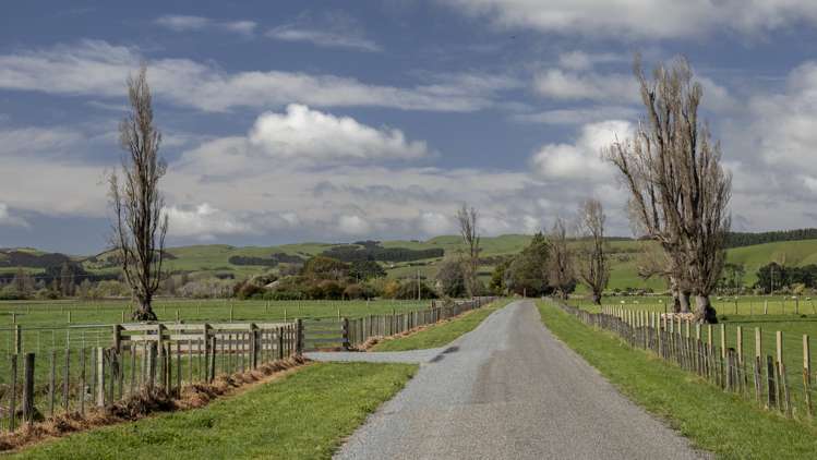 Chishams Road Martinborough_9