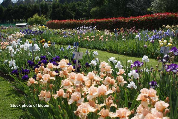 120 Walford Road Aongatete_6