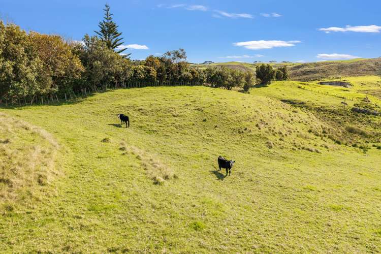 402 Baylys Coast Road Dargaville_7