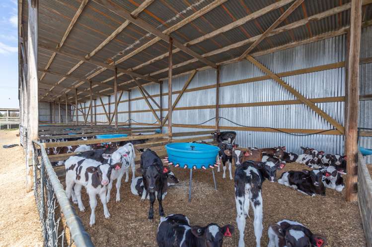 428 Leeston Road Springston_34