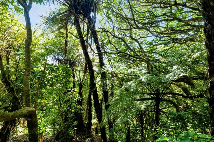 551 Frankley Road Hurworth_33