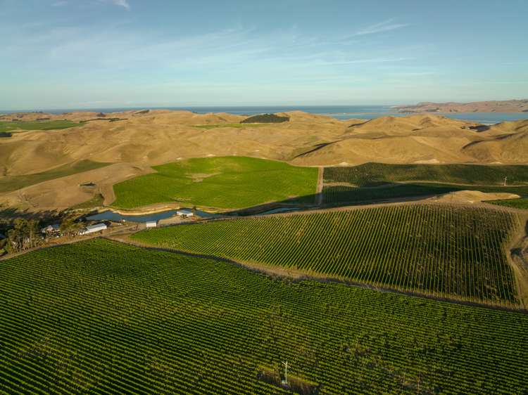 217 Caseys Road Seddon_5