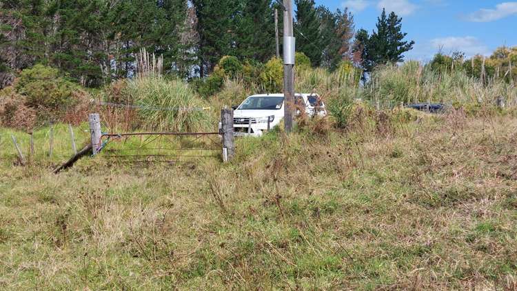 Wearmouth Road Paparoa_17