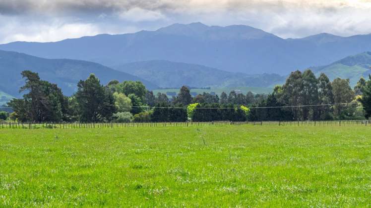 East Taratahi Road Carterton_10