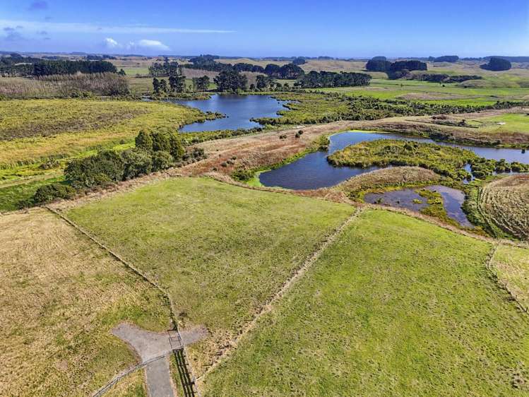 Lot 8 Whio Grove Hokio Beach_6