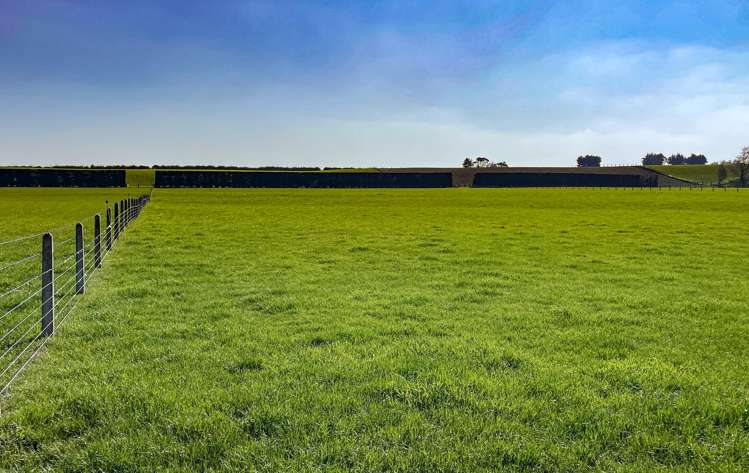 57 Island Edendale Road Edendale_15