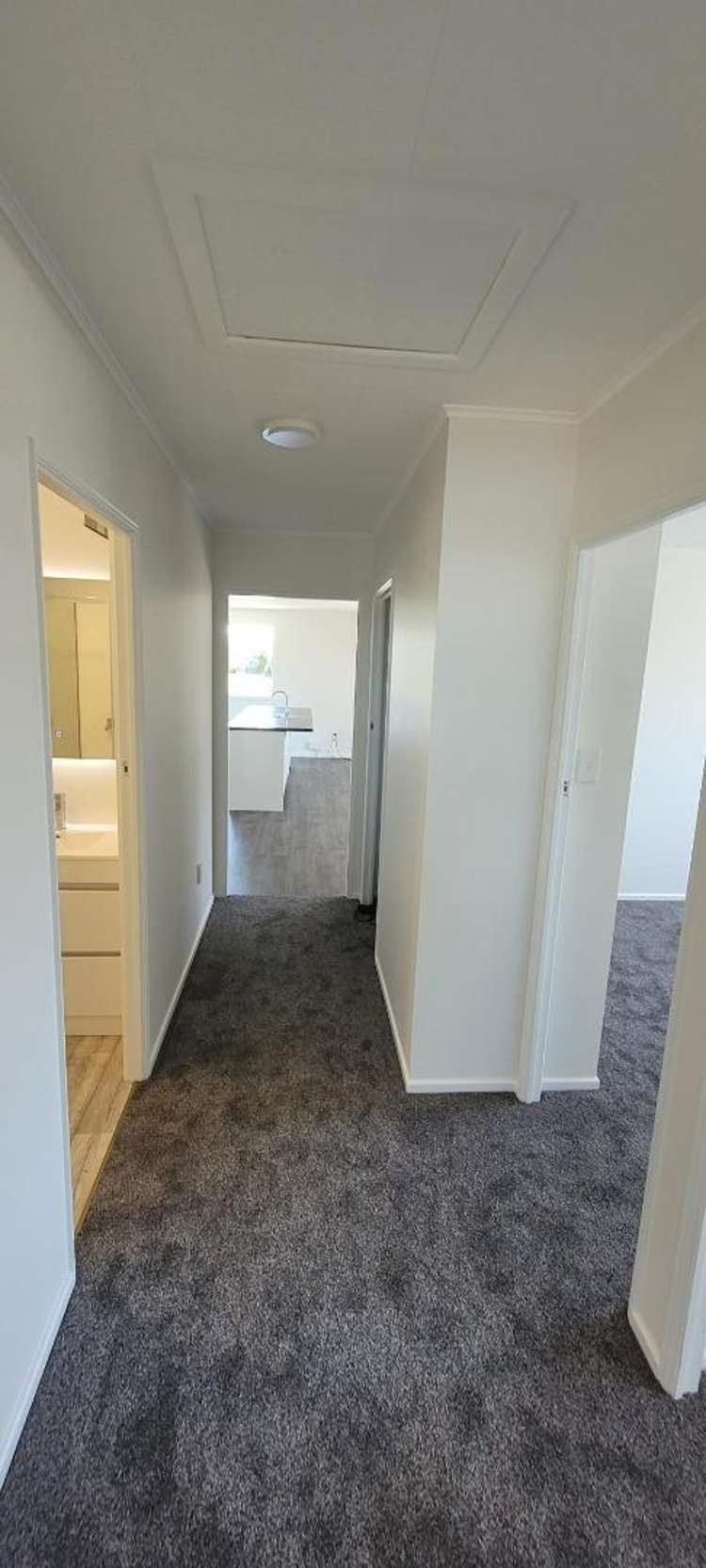 12 Argyle Street Kew_2