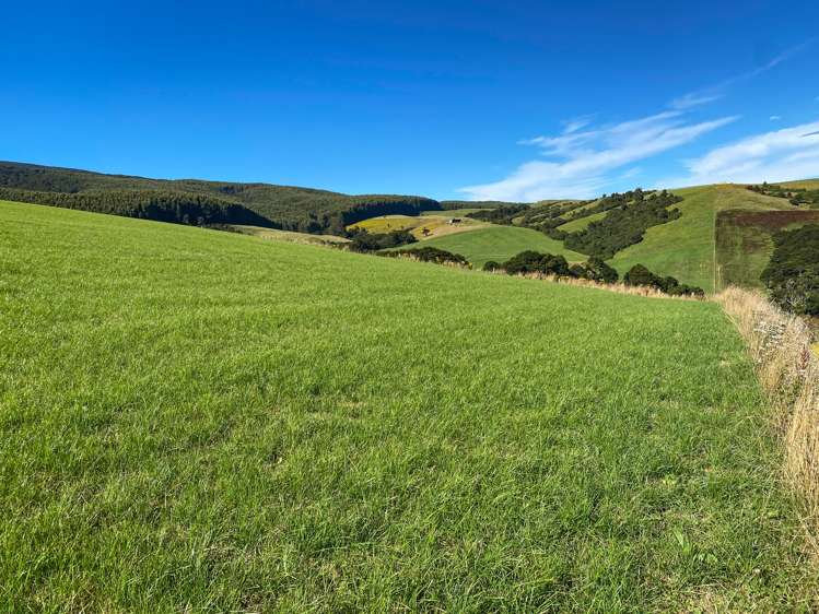 110 Harrison Road Tuatapere_10